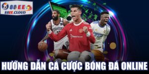 Hướng Dẫn Cá Cược Bóng Đá Online